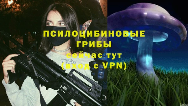 mdpv Краснотурьинск