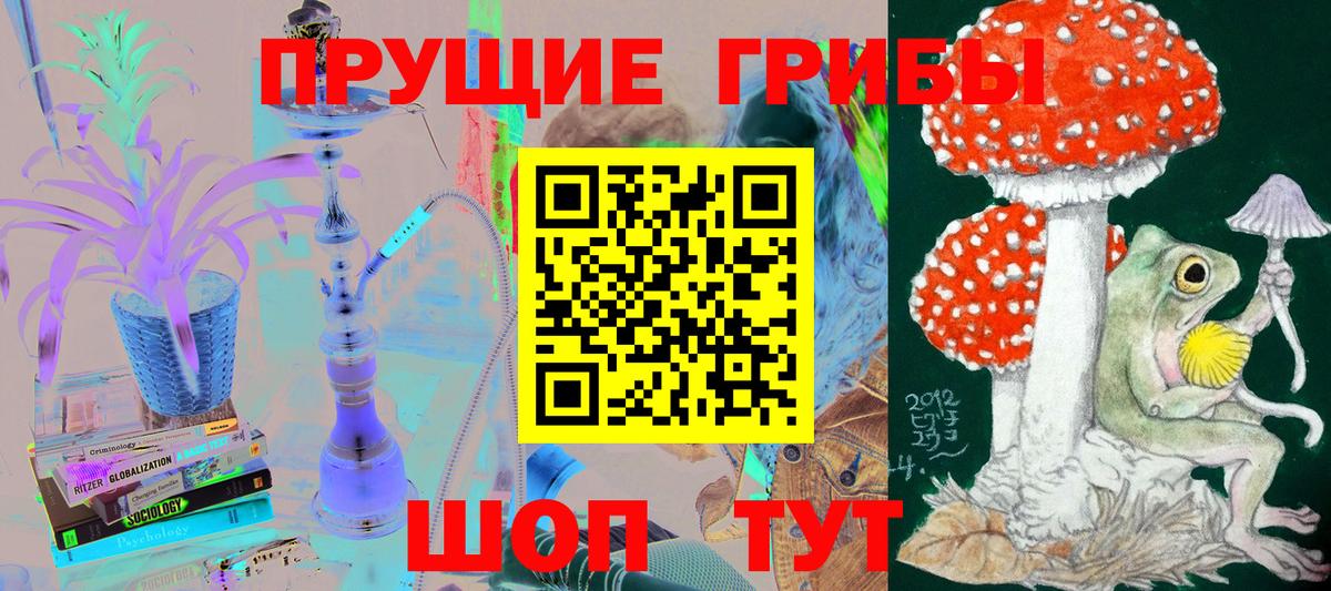 купить  цена  Псилоцибиновые грибы мицелий  Вход с VPN  Нерюнгри 