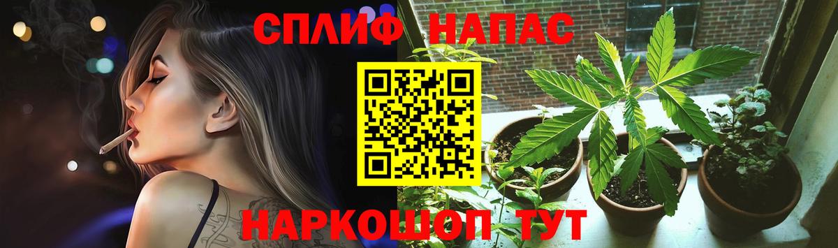 Канабис индика  Нерюнгри  Конопля марихуана  Конопля OG Kush 